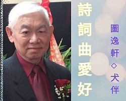 總裁 David Tse
